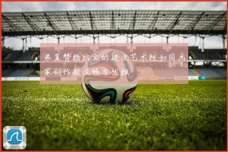 弗莱赞扬欧文的进攻艺术性如同画家创作般流畅与优雅