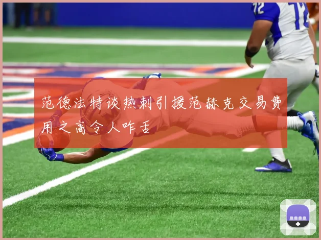 范德法特谈热刺引援范赫克交易费用之高令人咋舌